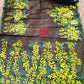Handpainted Handloom Halfsilk Saree and Aarong Cotton Punjubi Set. Oporajita Theme.