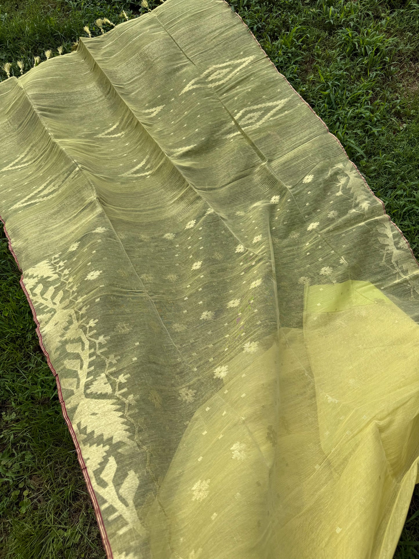 Original Dhakai Jamdani Saree - Golden