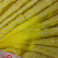 Original Moslin Hand Embroidery work Saree, Lemon Lime Color