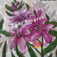 Handpainted Jamdani, Original Dhakai Saree | Pink Lily Theme