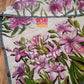 Handpainted Jamdani, Original Dhakai Saree | Pink Lily Theme